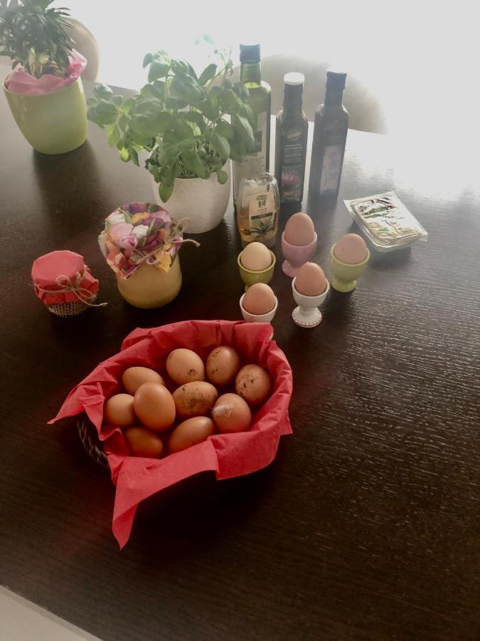 Ve Nocleg ze śniadaniem *